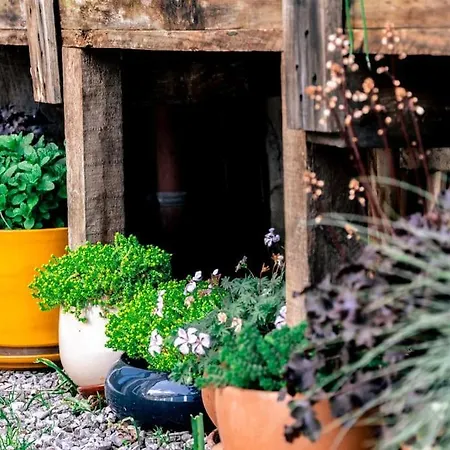 Appartamento Corto 4 Pers Coeur Vieille Parking *