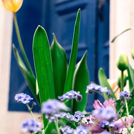 公寓 Corto 4 Pers Coeur Vieille Parking 滨海布洛涅