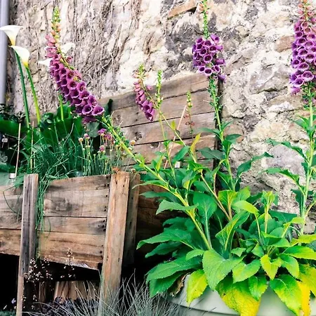 Corto 4 Pers Coeur Vieille Parking Boulogne-sur-Mer