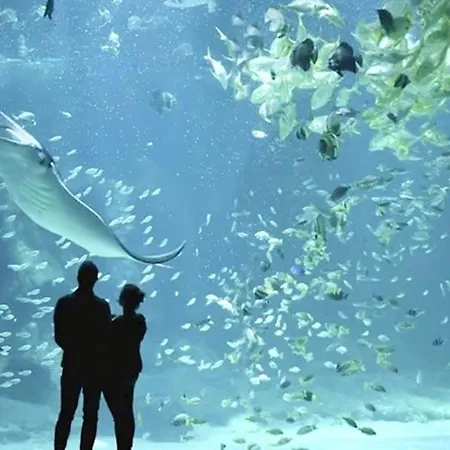 Corto 4 Pers Coeur Vieille Parking 公寓 滨海布洛涅